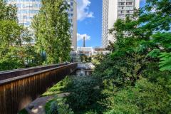 Forêts urbaines
