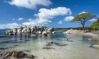 Corse Sud : des villas de rêve 20 à 30 % moins chères que sur la Riviera