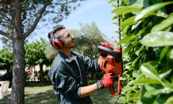 Comment faire pour rémunérer votre jardinier en chèque emploi service ?