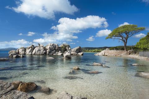 Corse Sud : des villas de rêve 20 à 30 % moins chères que sur la Riviera