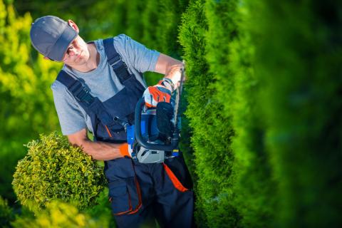 Pouvez-vous bénéficier d’un avantage fiscal en employant un jardinier ?
