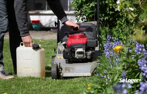 Devez-vous respecter certains horaires pour tondre votre pelouse ?