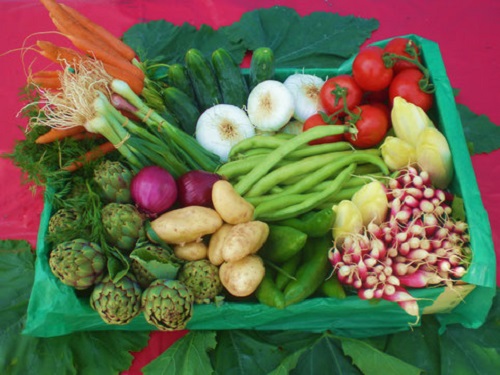 Légumes Biologiques et Locaux
