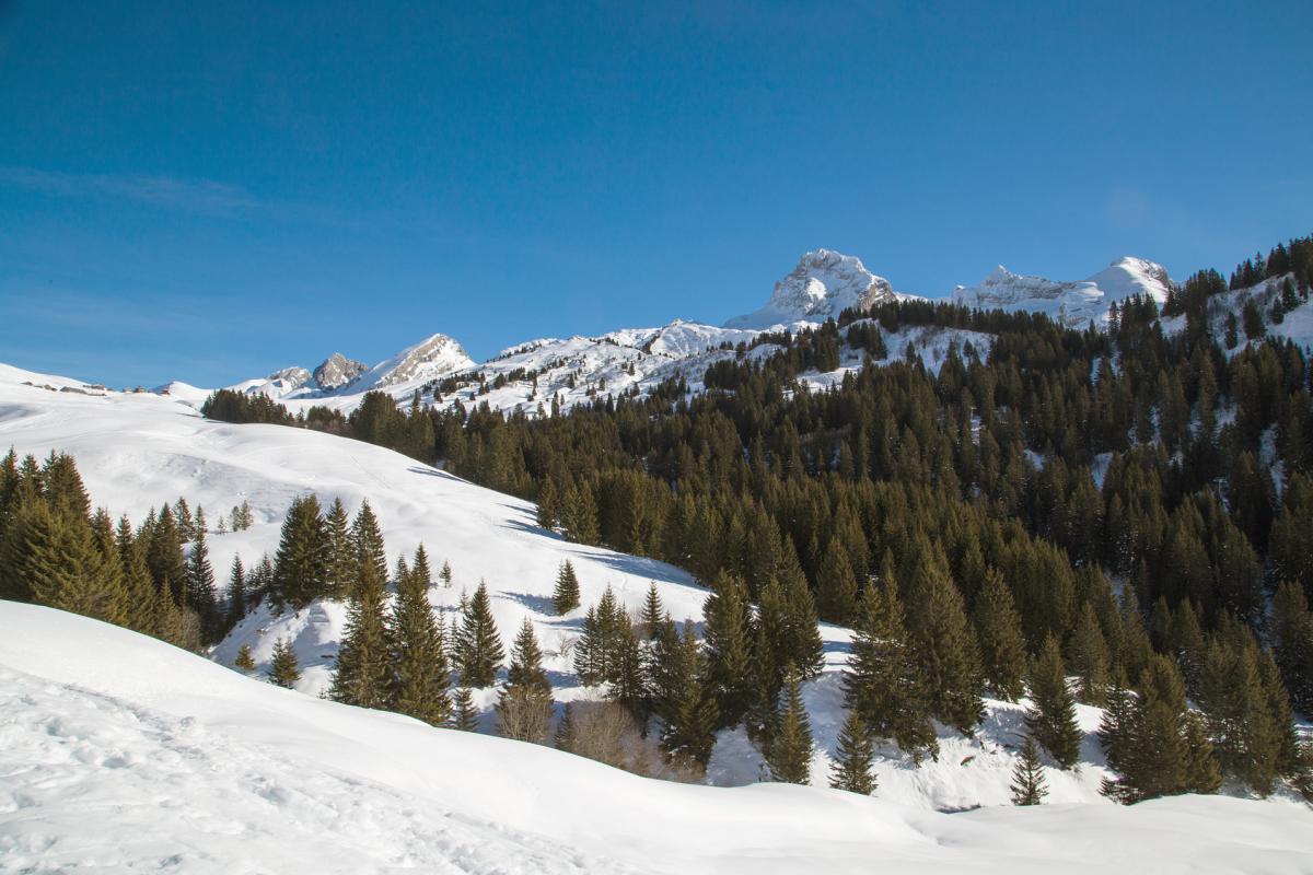 Station de ski moyenne montagne