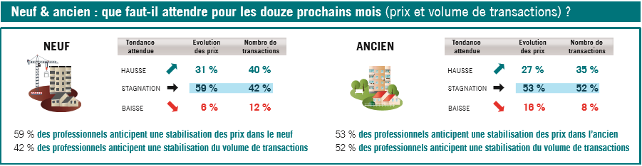 Perspective Immobilier 12 Mois