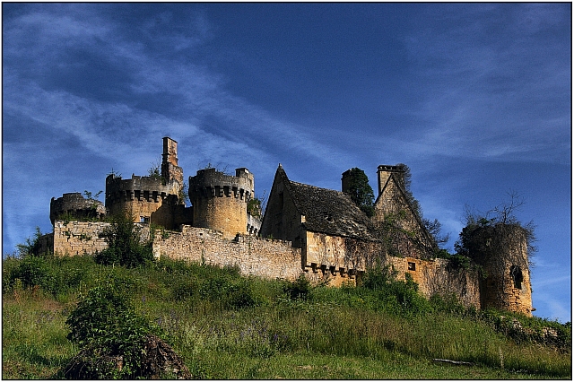 Château Le Paluel en vente