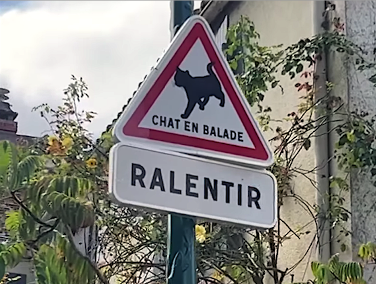 CHATS