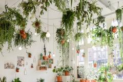 Ce coquet appartement a une végétation luxuriante. © pinterest 12 idées créatives pour avoir un petit coin de verdure dans votre appartement
