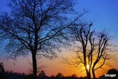 Les arbres que vient de planter votre voisin ne respectent pas la distance autorisée, vous pouvez saisir le tribunal d’instance pour trouble de voisinage. © Wladimir Bulgar Votre voisin plante un arbre devant votre clôture. En a-t-il le droit ?