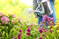 Arroser votre jardin, c’est bien mais efficacement, c’est mieux