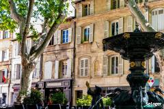 Avignon : « La demande est forte mais pas disproportionnée par rapport à l’offre »