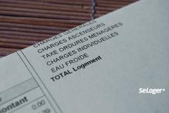 85 % des copropriétaires paient plus de 1 000 € de charges par an !