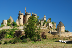 Achat insolite : et si vous deveniez co-propriétaire du château Le Paluel pour 50 € ?