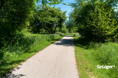 L'aliénation d'un chemin rural doit vous être communiqué par votre mairie. © Matthew Kilander Un chemin rural voisin va être vendu par votre commune. Devez-vous en être informé ?