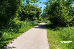 Un chemin rural voisin va être vendu par votre commune. Devez-vous en être informé ?