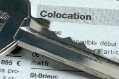 Comment rédiger un bail de colocation ?