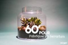 DIY : comment fabriquer un terrarium pour décorer son intérieur ?