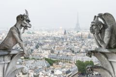Louer son bien sur Airbnb rapporte 2,6 fois plus qu'une location classique !
