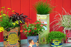 Les boîtes à café, thé, champagne, etc, peuvent faire de sublimes pots pour vos plantes. ©gardenloversclub.com 10 idées originales et créatives pour personnaliser votre jardin