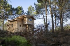 Maisons à louer dans les arbres : Center Parcs joue à Tarzan