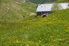Pour faire des économies, le Parc national des Pyrénées vend ses maisons. © Thomas Launois Le Parc national des Pyrénées obligé de vendre ses maisons !
