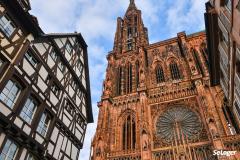 Strasbourg : cible de choix pour les investisseurs