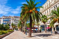 Le centre-ville de Toulon est un secteur prometteur. © Saiko3p – Shutterstock « À Toulon, les perspectives du marché immobilier sont excellentes »