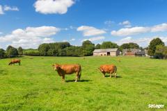 Pouvez-vous agrandir un bâtiment d’habitation situé en zone agricole ?