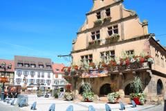 place-hotel-de-ville-molsheim-seloger