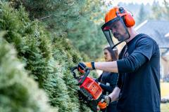 La taille de haie se fait idéalement au printemps