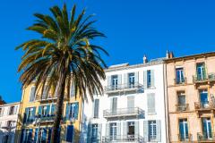 Les marchés de la Vallée du Gapeau et de Hyères se portent très bien. 