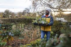 monsieur avec des plantes dans les mains dans un jardin