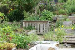 Les jardins ouvriers permettent aux citadins de créer leur propre havre de verdure. © luzulee - Adobe Stock