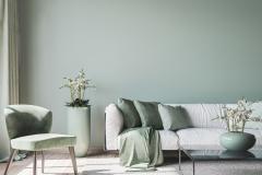 Un salon couleur vert sauge, très tendance en décoration d'intérieur