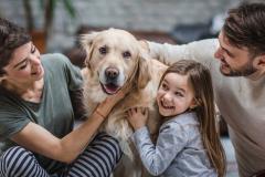 Il est recommandé de déclarer ses animaux de compagnie à son assureur afin d'être couvert en cas de dégâts. © skynesher - Getty images