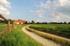 Chemin rural