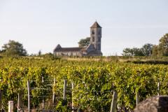 Saint-Emilion Gironde vignes