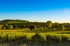 Saint-Exupéry campagne Gironde