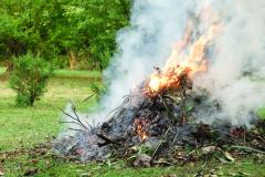 Brûler des déchets verts, est-ce autorisé ?