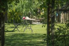 Ombre jardin