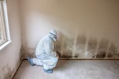 Taux d'humidité maison moisissures