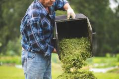 Que faire de votre herbe de tonte ?