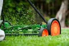 Qu'est-ce que le mulching ?
