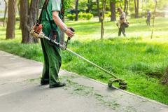 Mairie gestionnaire espaces verts