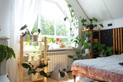 Installer des plantes dans une chambre favorise un sommeil réparateur
