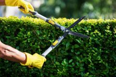 Crédit d’impôt : vers une baisse pour les travaux de jardinage à domicile ?