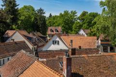 Fissures dans la maison : que faire ?