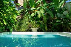 Quelles plantes installer autour d'une piscine ?