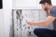 Un homme constate des moisissures importantes sur l'un des murs intérieurs de son logement