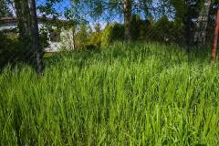 Tonte d'herbes hautes : est-ce obligatoire ?